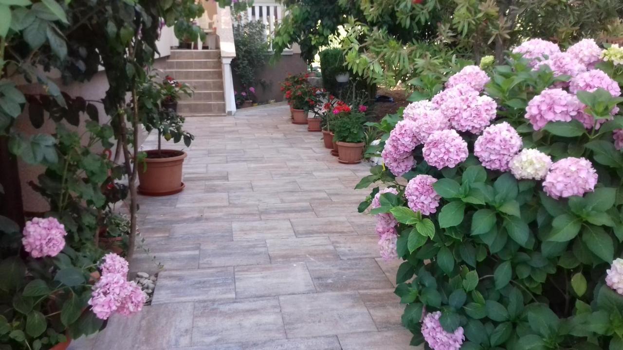 Apartments Filipovic 比奥格勒·纳·莫鲁 外观 照片