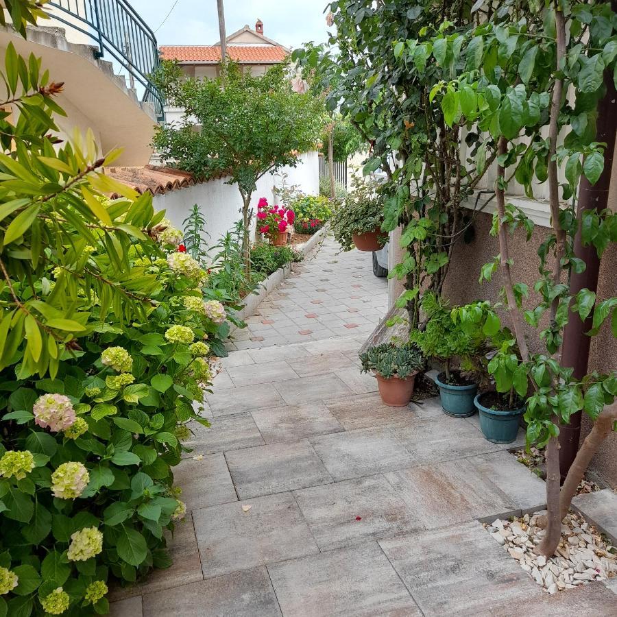 Apartments Filipovic 比奥格勒·纳·莫鲁 外观 照片