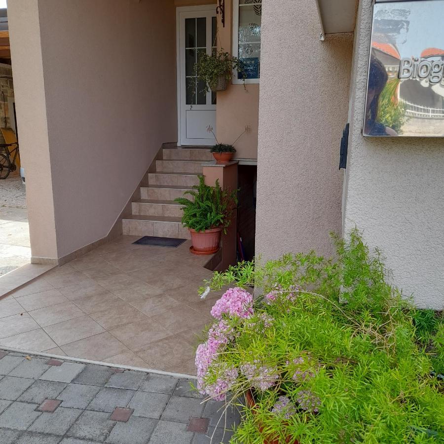 Apartments Filipovic 比奥格勒·纳·莫鲁 外观 照片