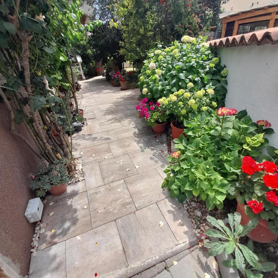 Apartments Filipovic 比奥格勒·纳·莫鲁 外观 照片