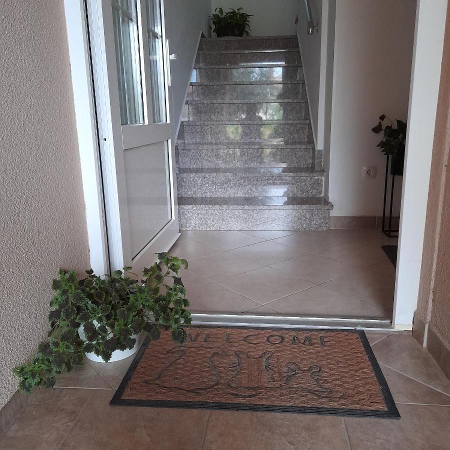 Apartments Filipovic 比奥格勒·纳·莫鲁 外观 照片